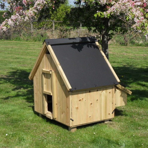 chicken house for 6 standard size hens