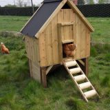 chicken coop with extra shelter