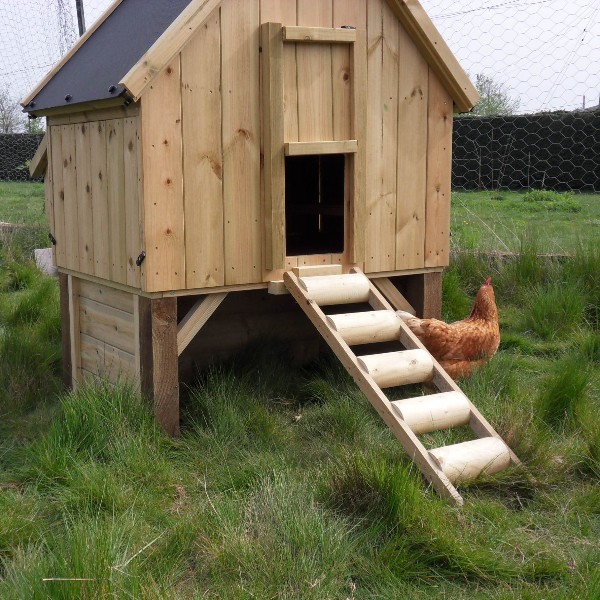 chicken coop front view