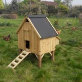 A small free range chicken coop on legs with three chickens in the background