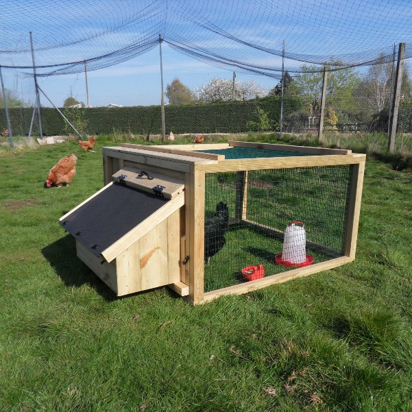 Rear view of a broody coop for chickens