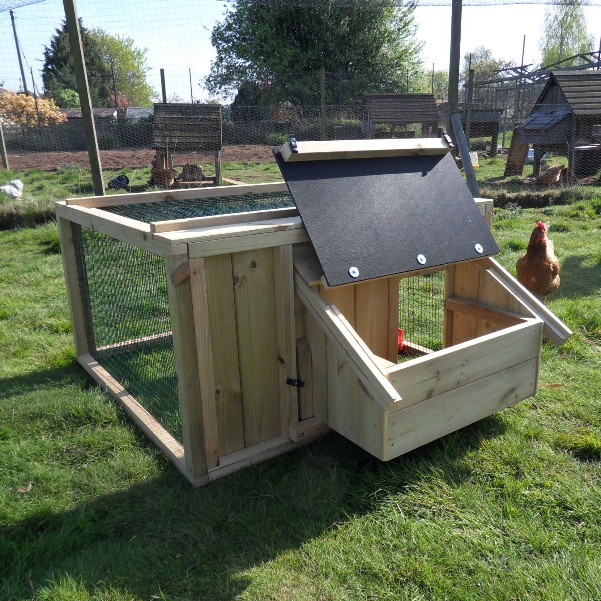 Rear view of a broody chicken coop with the nest box lid open