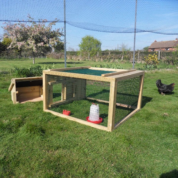 A broody chicken pen with its nest box removed